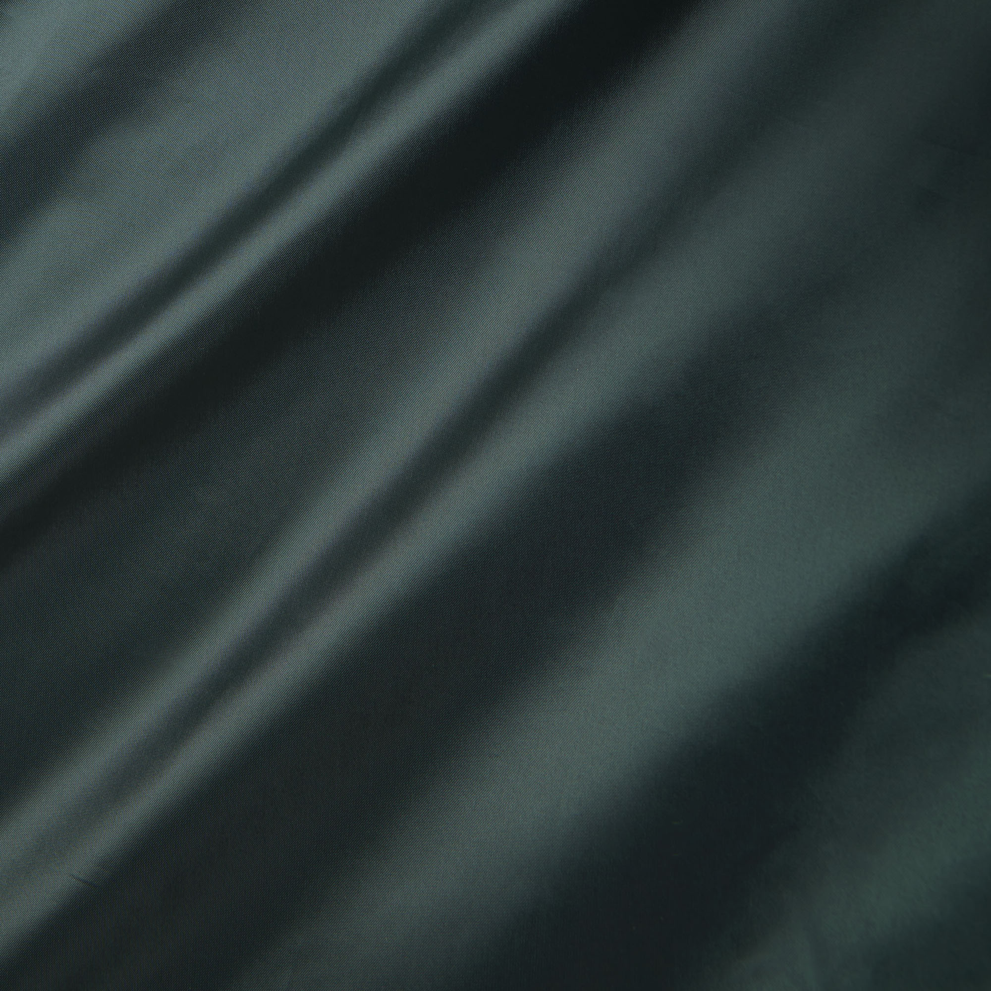 Runway Long Iridescent Puffed Jacket image number 10