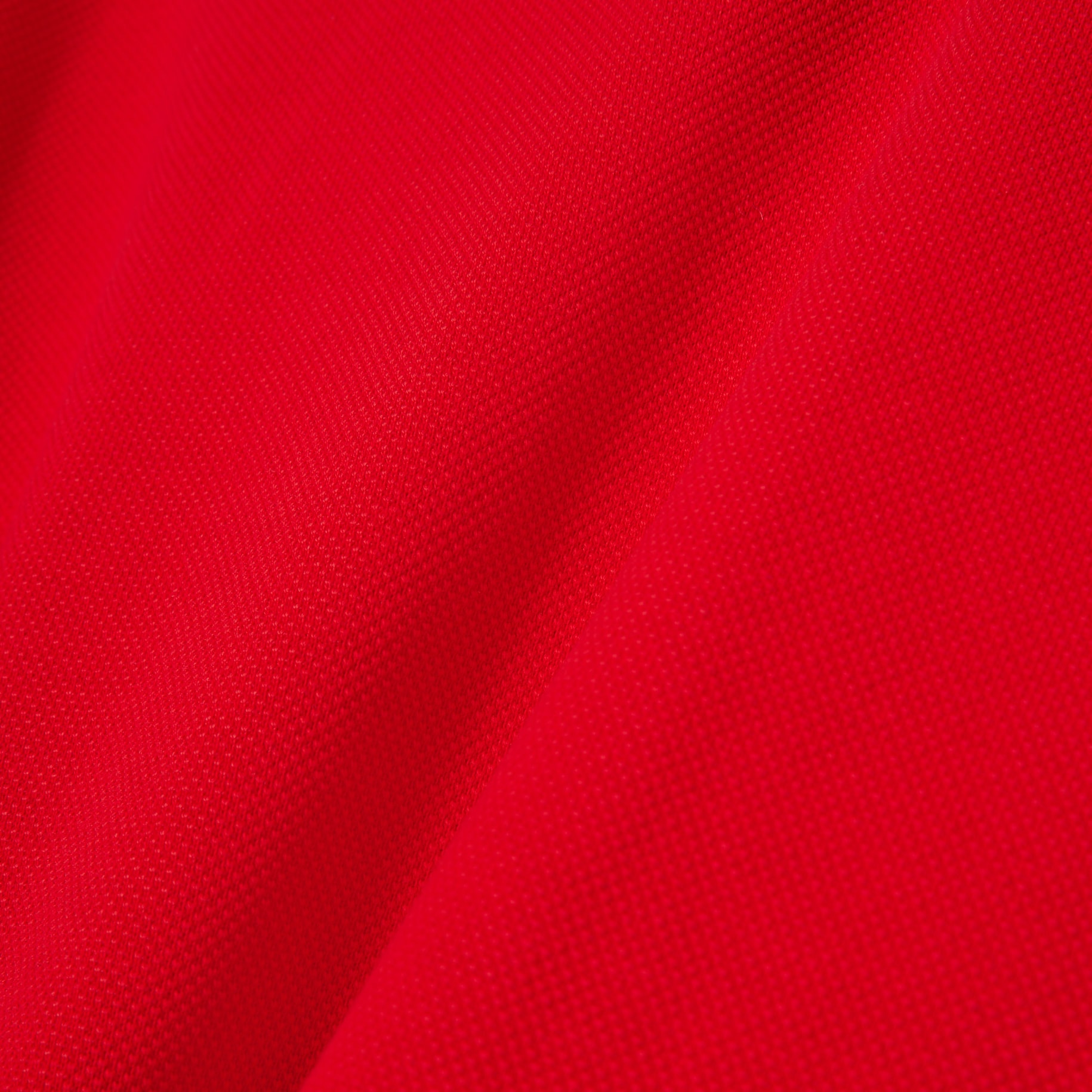 Lunar New Year Cotton Zipped Sweatshirt image number 6