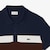Regular Fit Colour-Block Petit Piqu&eacute; Polo Shirt image number 4