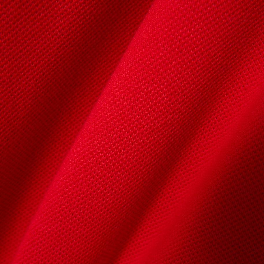 Portugal Edition Classic Fit L.12.12 Original Polo Shirt image number 6