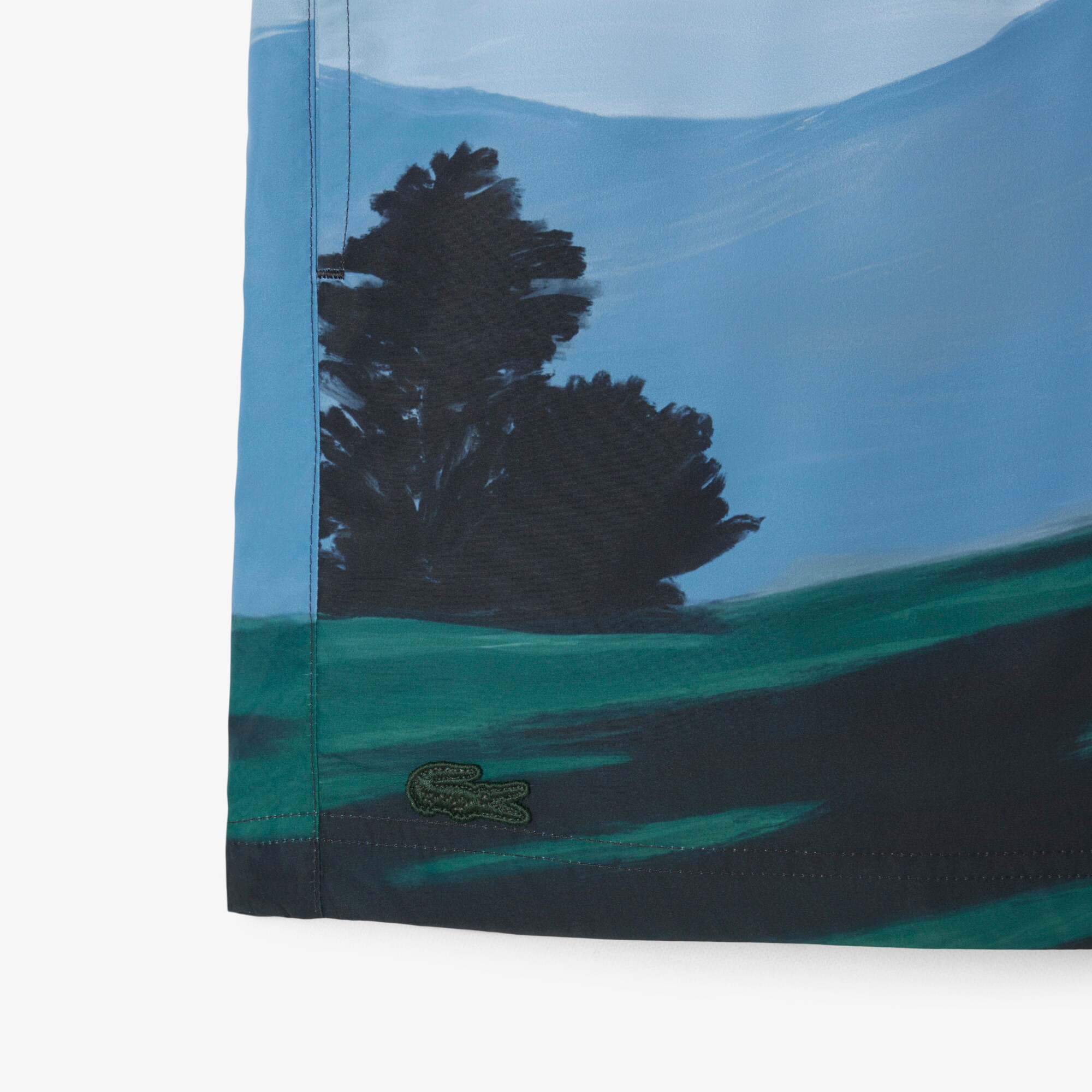 Short Landscape Print Swim Trunks image number 5