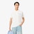 Classic Fit Printed Petit Piqu&eacute; Polo Shirt image number 0