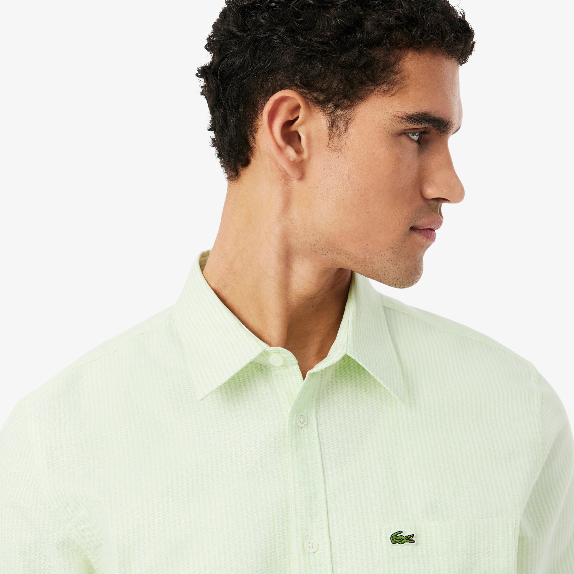 Regular Fit Striped Oxford Shirt image number 1