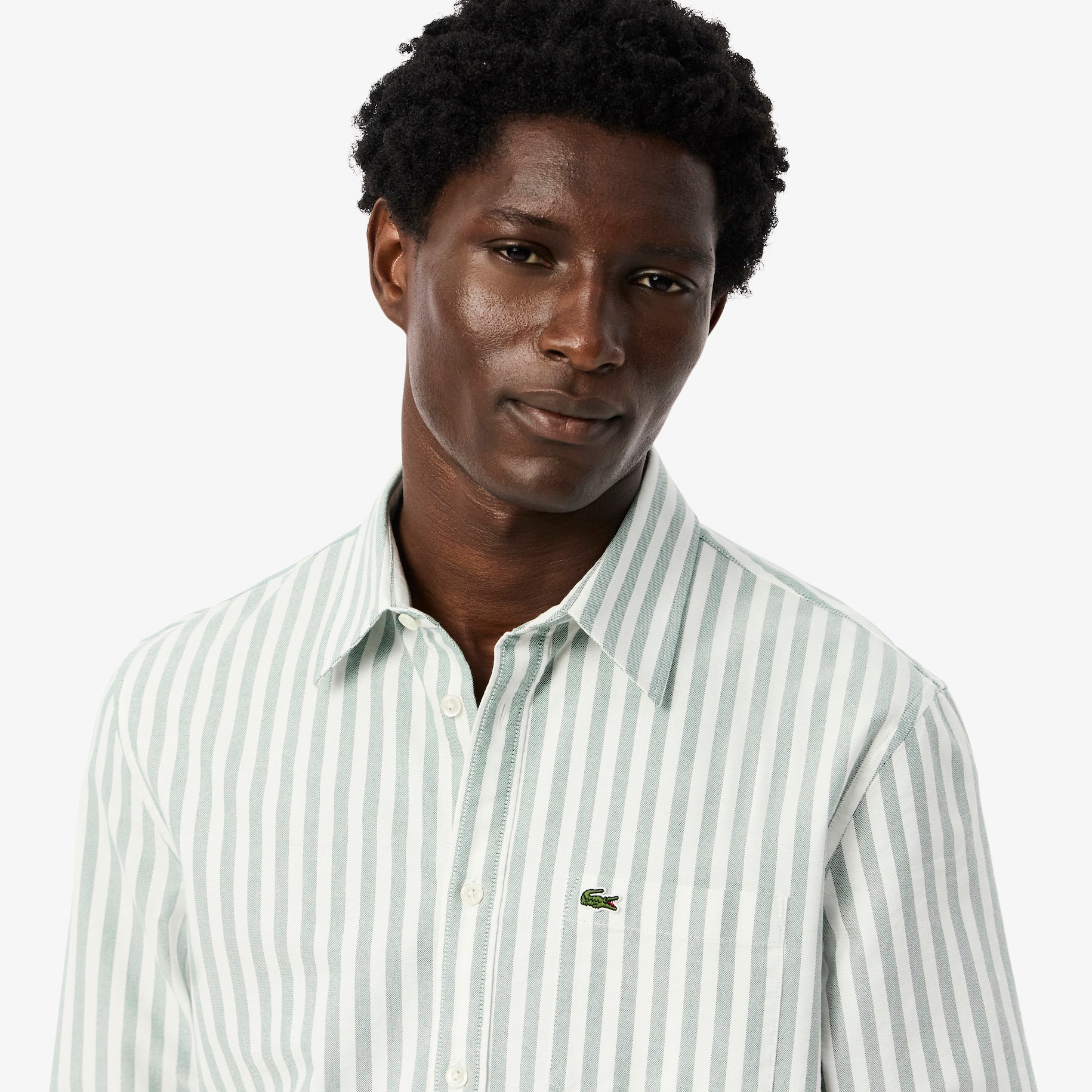 Regular Fit Striped Oxford Shirt image number 1