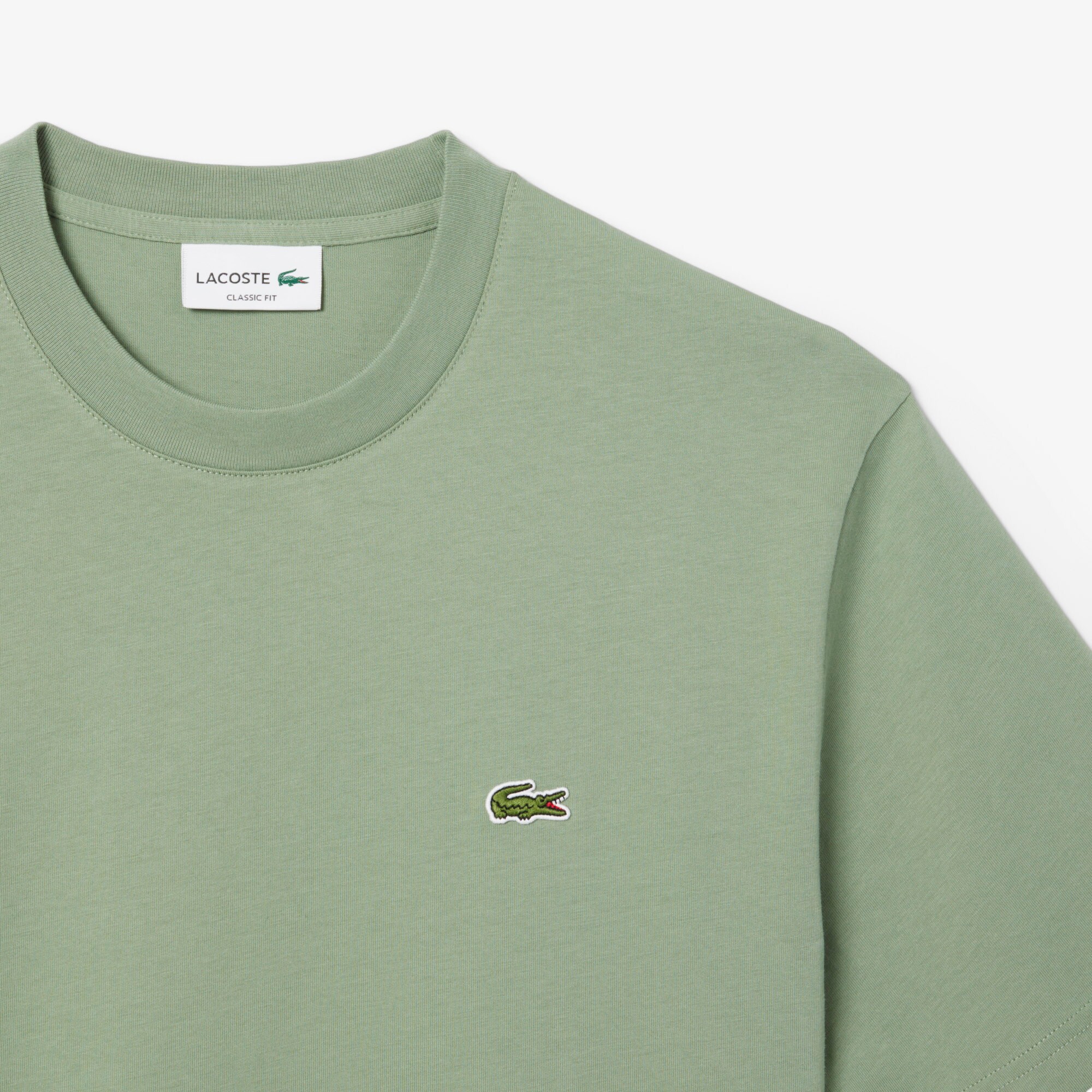 Classic Fit Cotton Jersey T-shirt image number 4