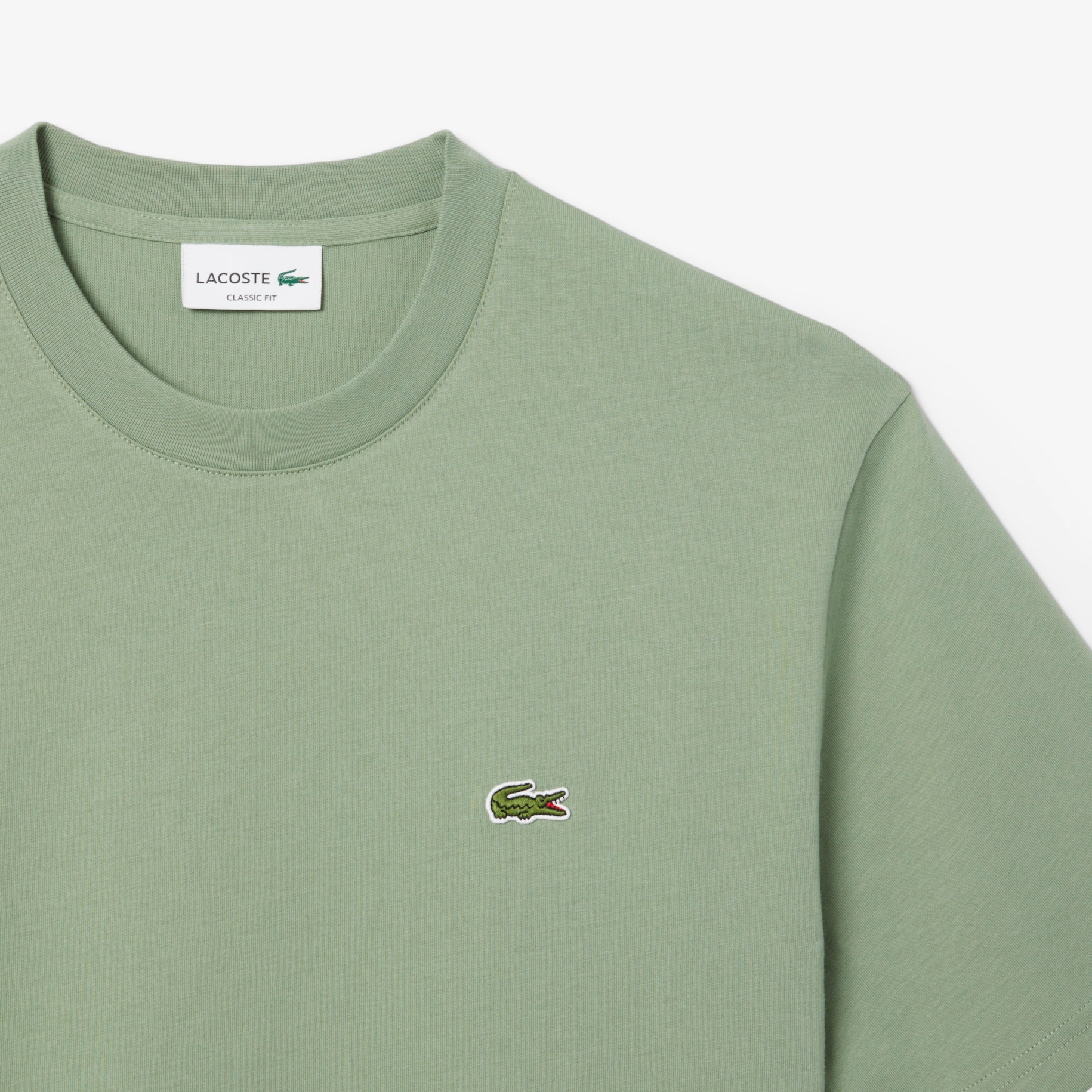 Classic Fit Cotton Jersey T-shirt image number 4
