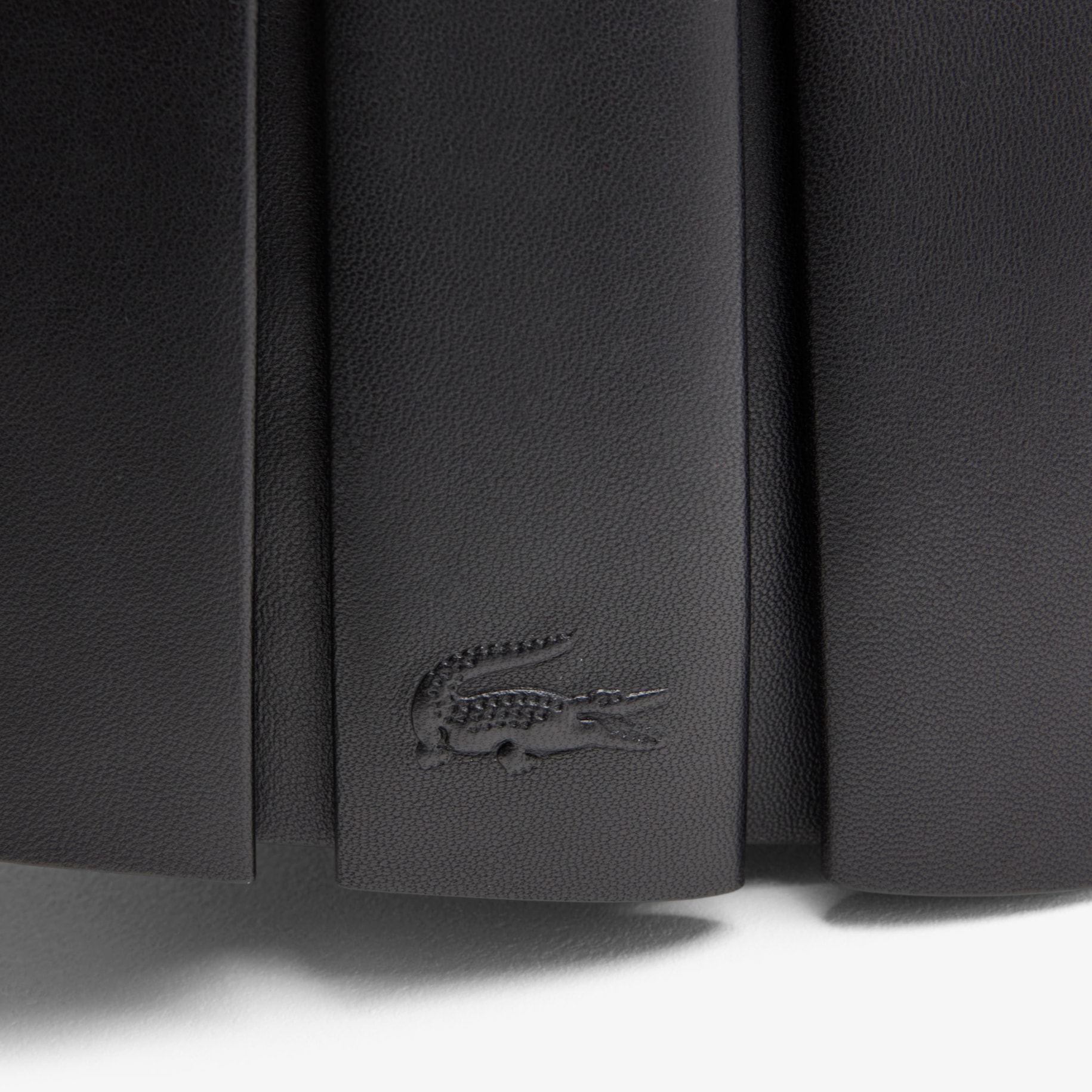 Large FW24 Runway Lenglen Leather Bag image number 4