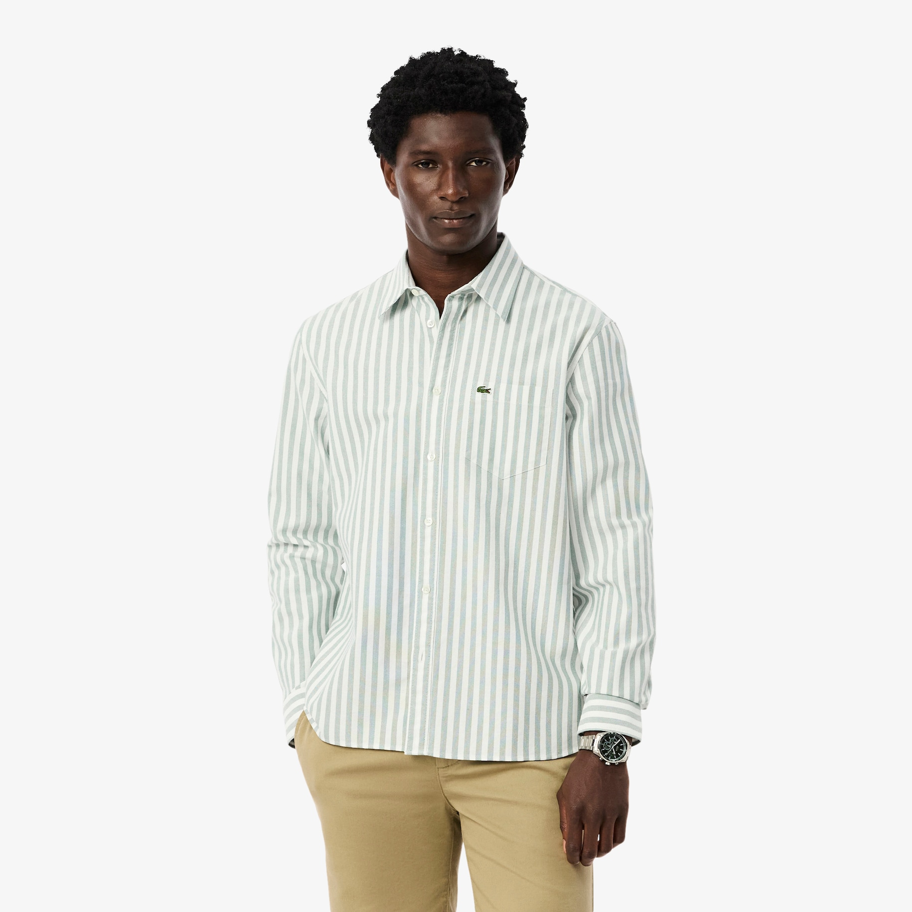 Regular Fit Striped Oxford Shirt image number 0
