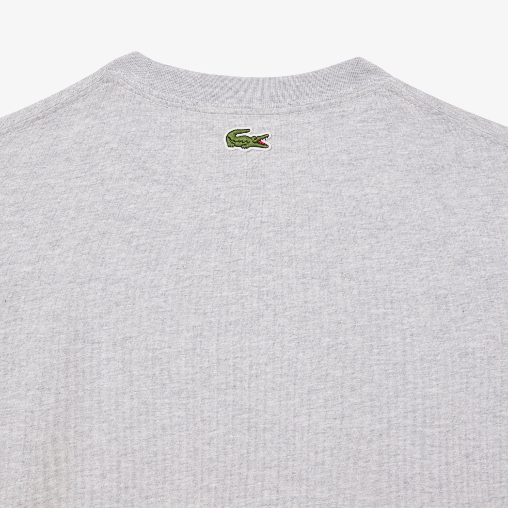 Regular Fit Printed Jersey T-Shirt image number 3