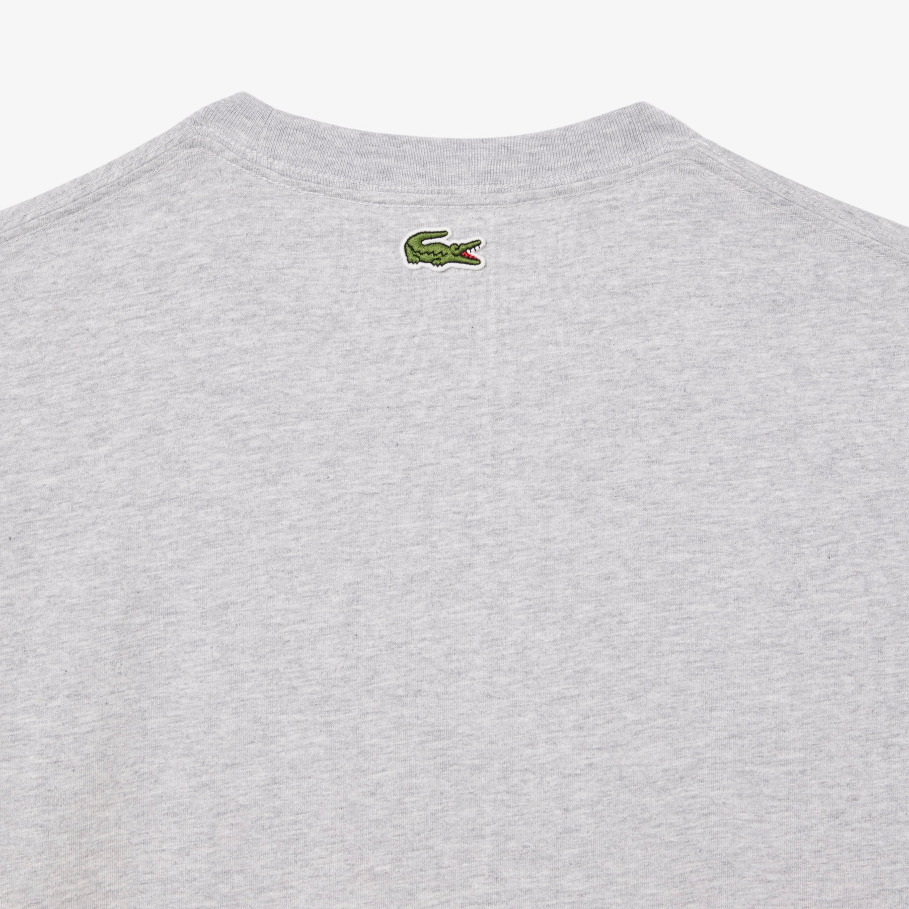 Regular Fit Printed Jersey T-Shirt image number 3