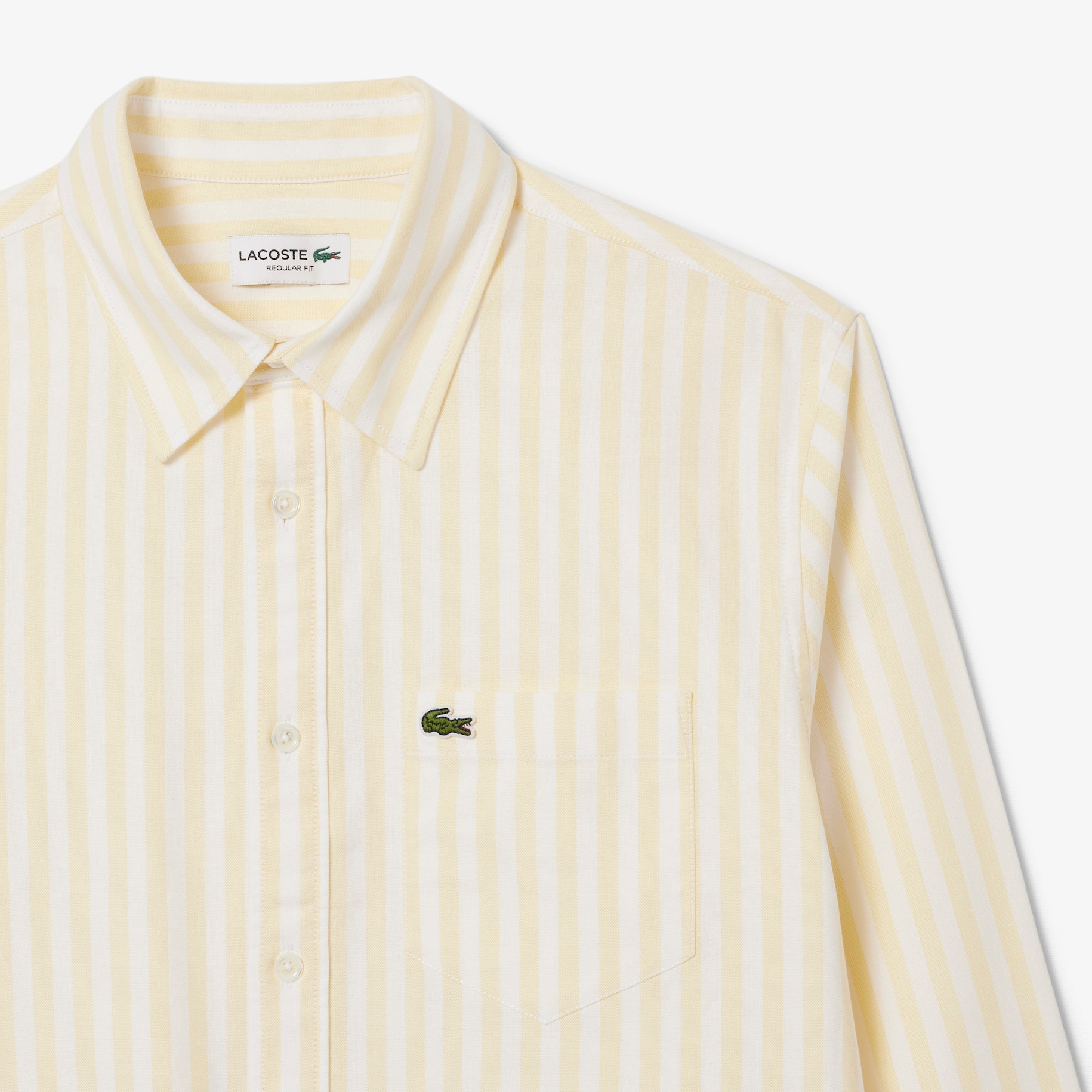 Regular Fit Striped Oxford Cotton Shirt image number 1