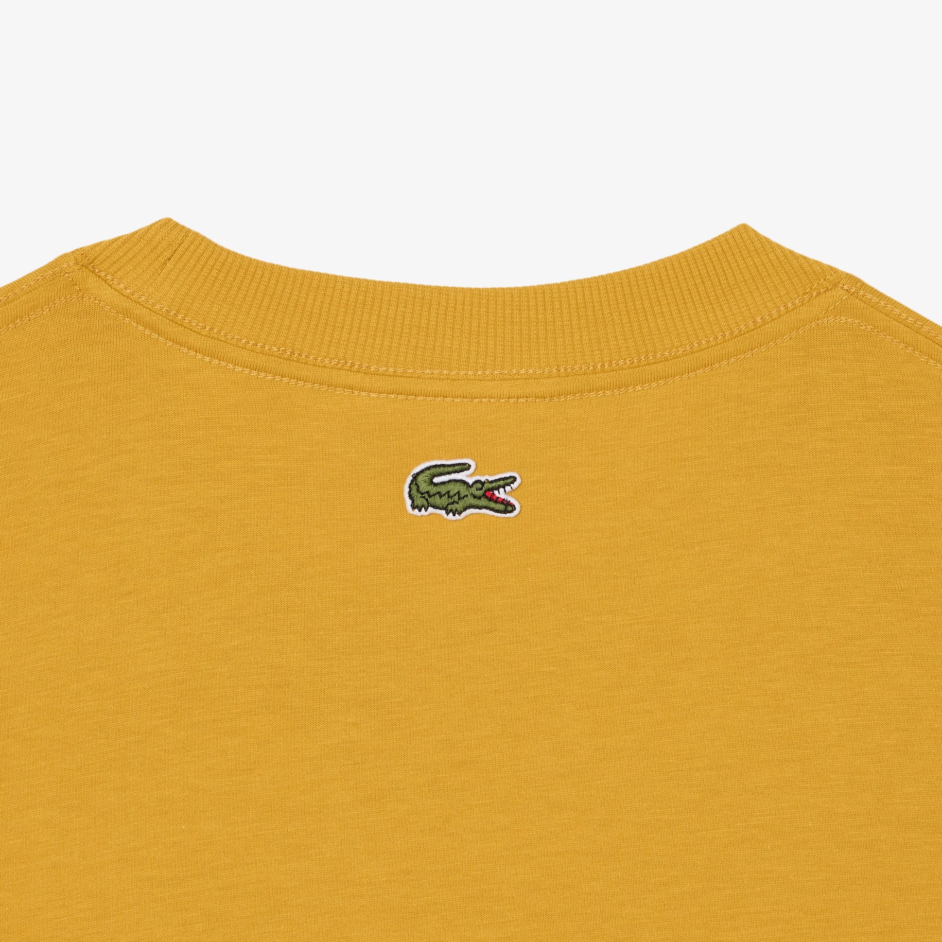 Printed Cotton Jersey T-shirt image number 2