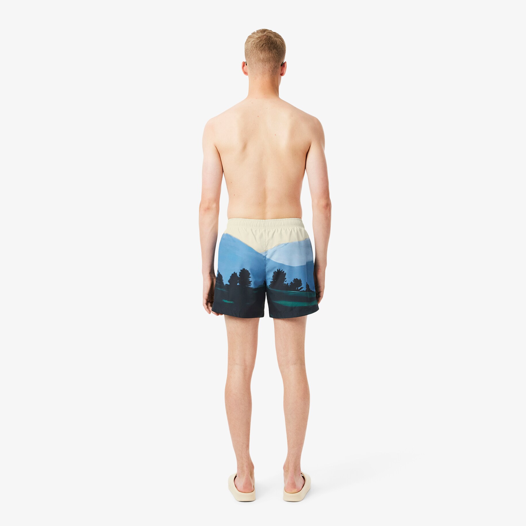 Short Landscape Print Swim Trunks image number 2