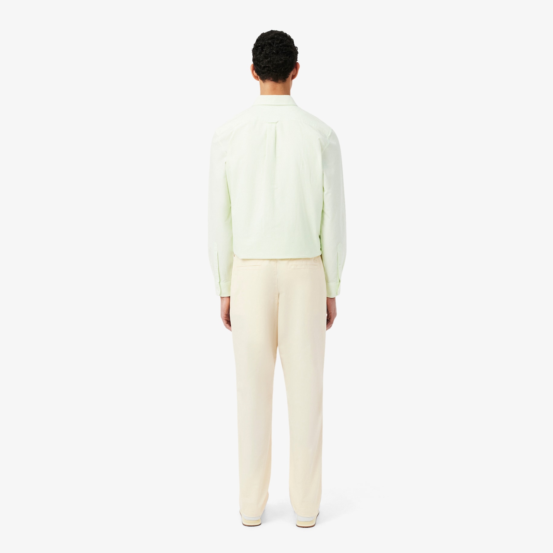 Regular Fit Cotton Twill Chino Pants image number 2