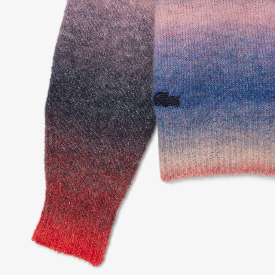 Crew Neck Ombré Sweater image number 5