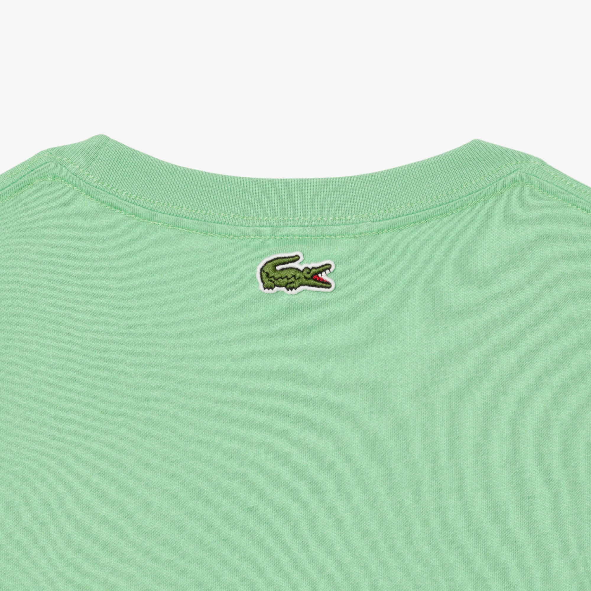 Regular Fit Printed Jersey T-Shirt image number 2