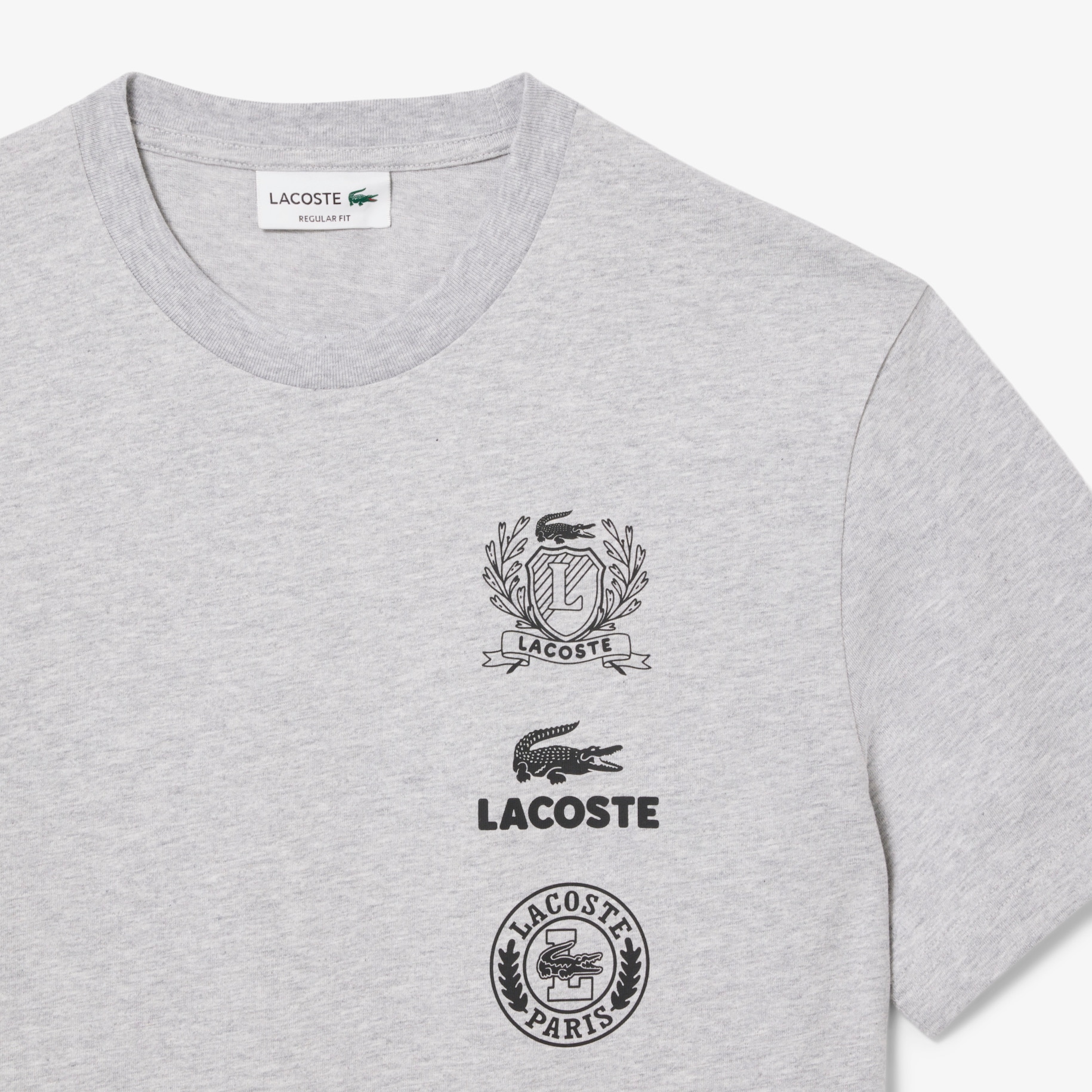 Regular Fit Printed Jersey T-Shirt image number 2