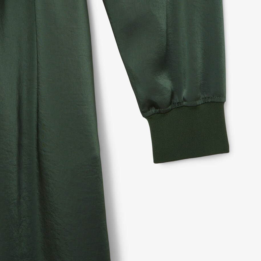 Long Sleeved Fluid Belted Dress image number 5