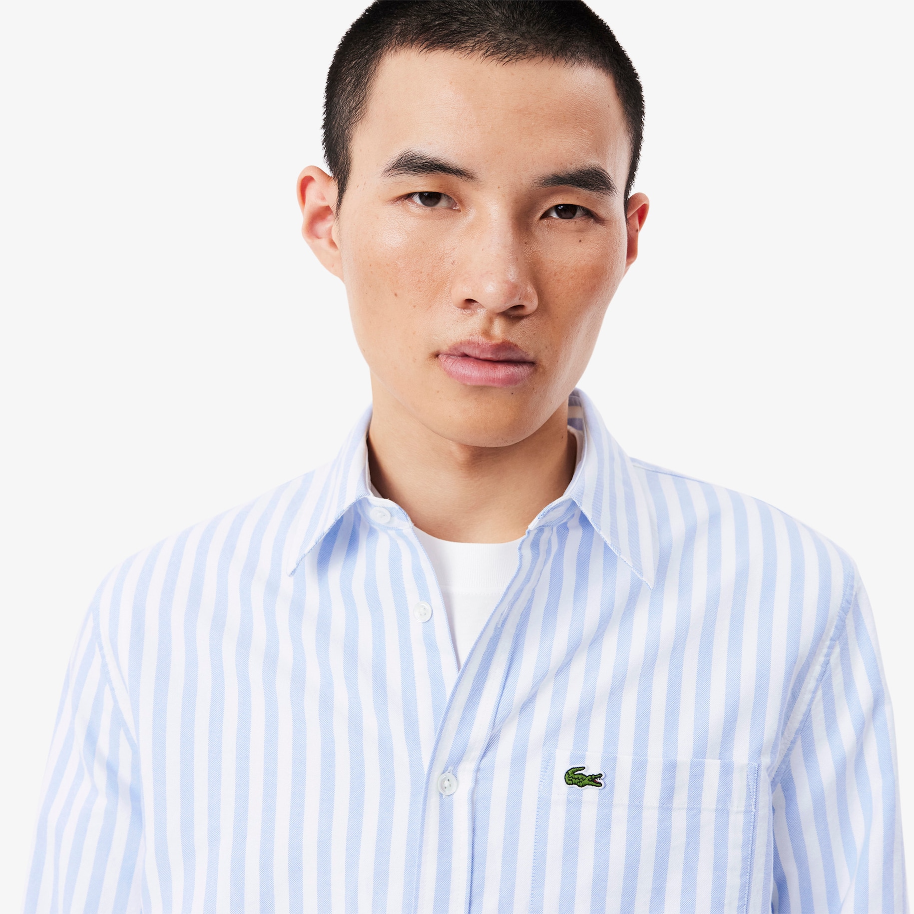 Regular Fit Striped Oxford Shirt image number 1