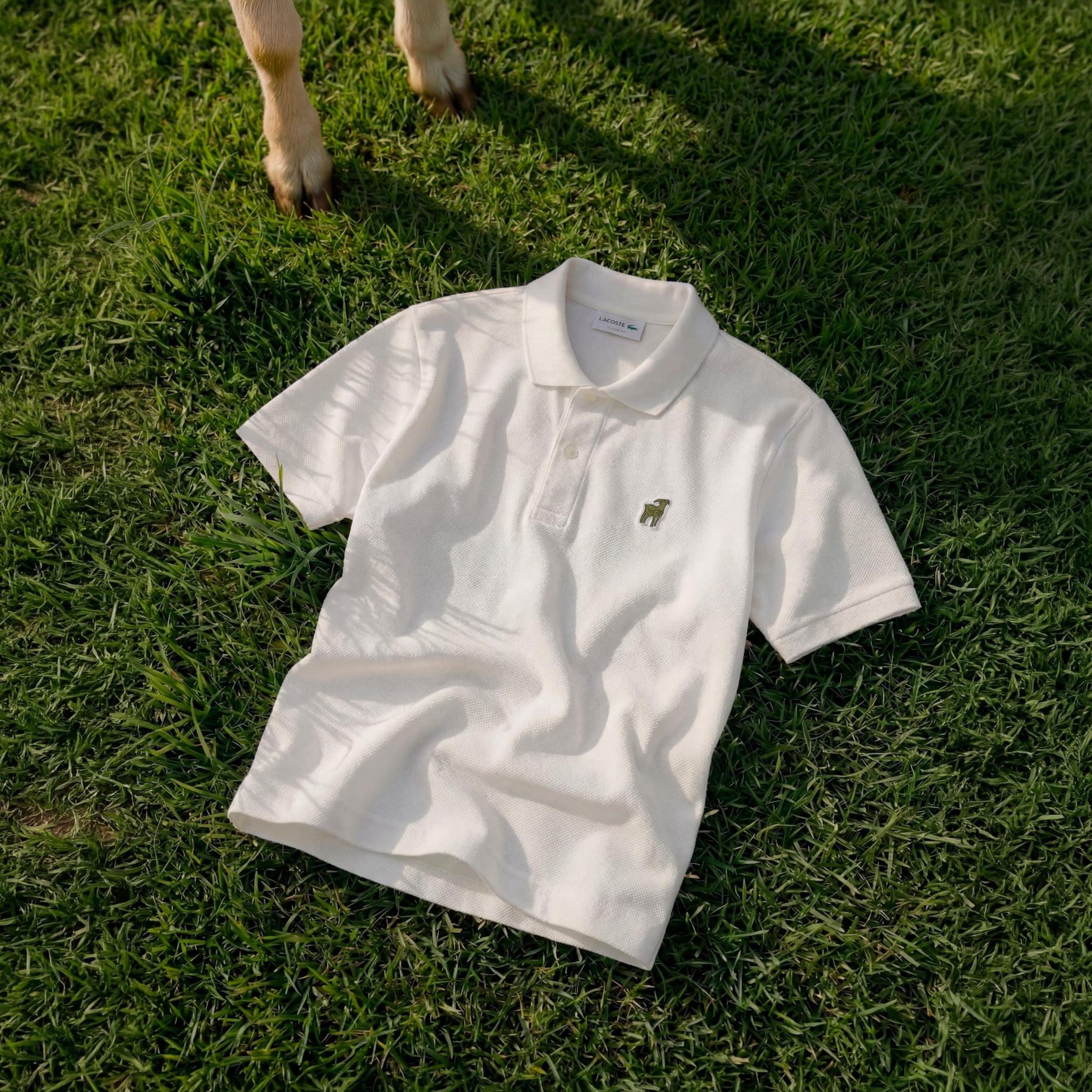Kaos Polo Lacoste x Novak Djokovic The GOAT image number 8