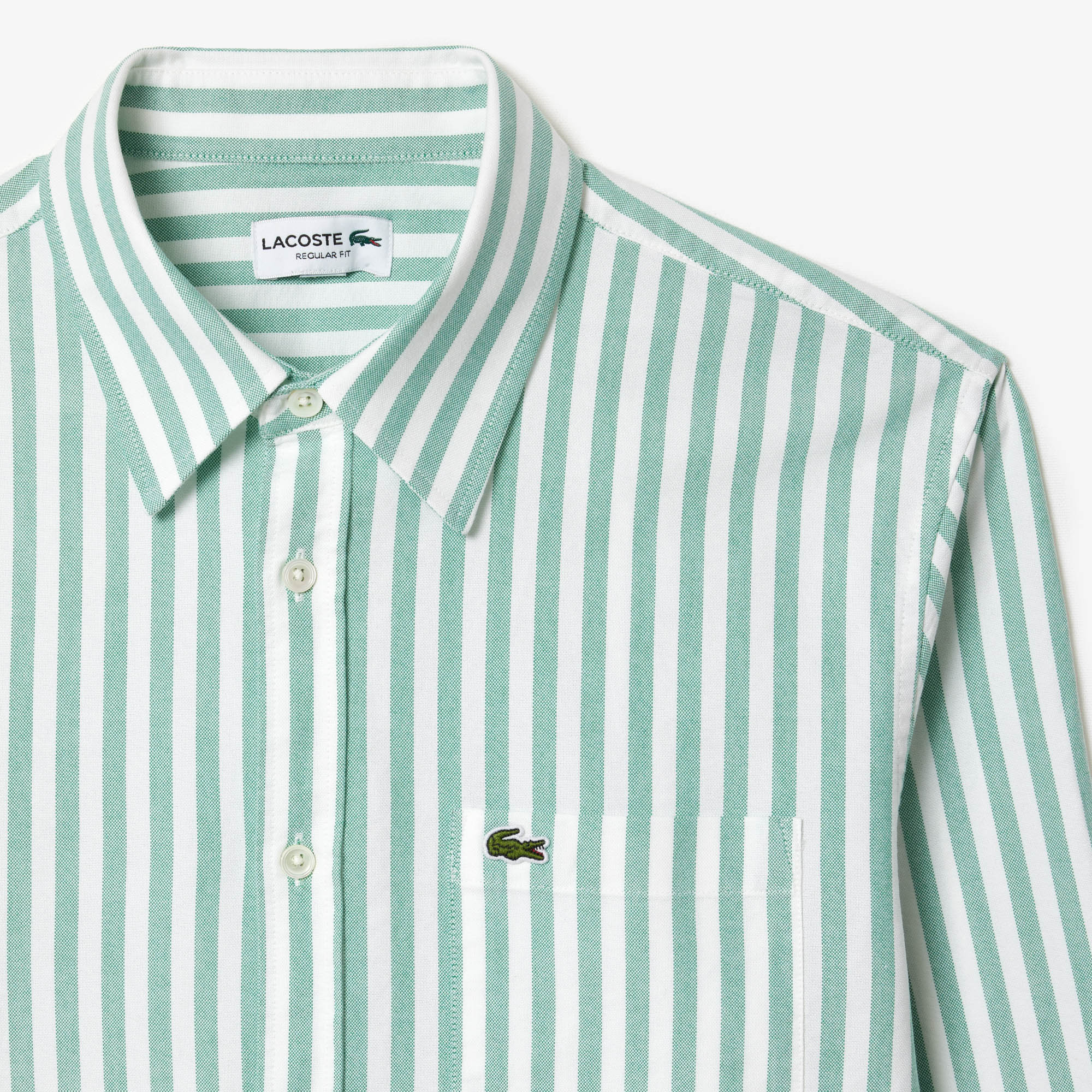 Regular Fit Striped Oxford Shirt image number 1