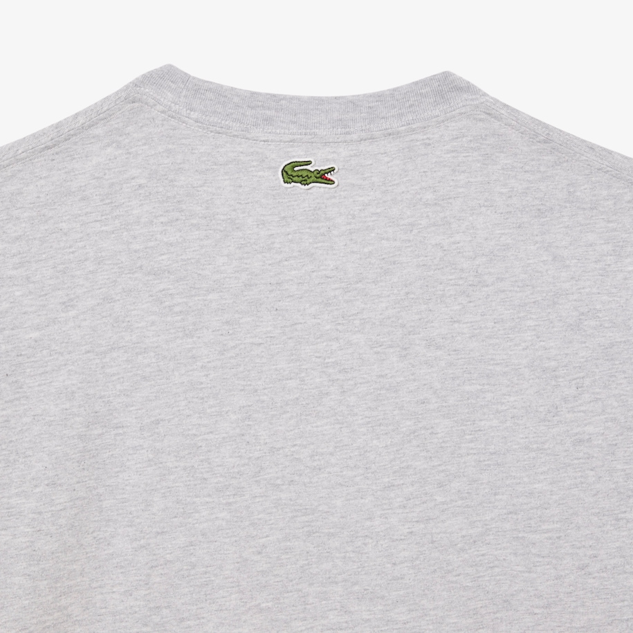 Regular Fit Printed Jersey T-Shirt image number 3