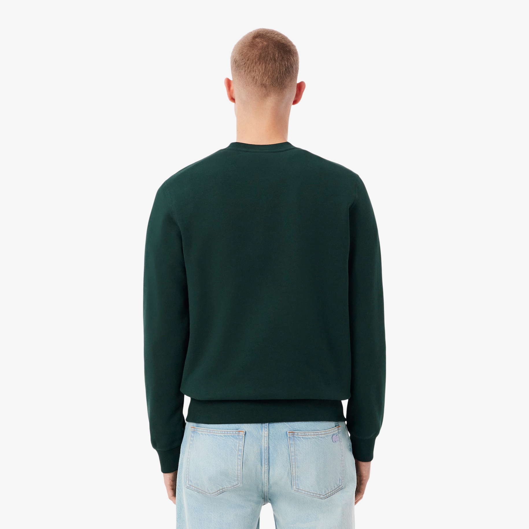 Landscape Crocodile Fleece Sweatshirt image number 2