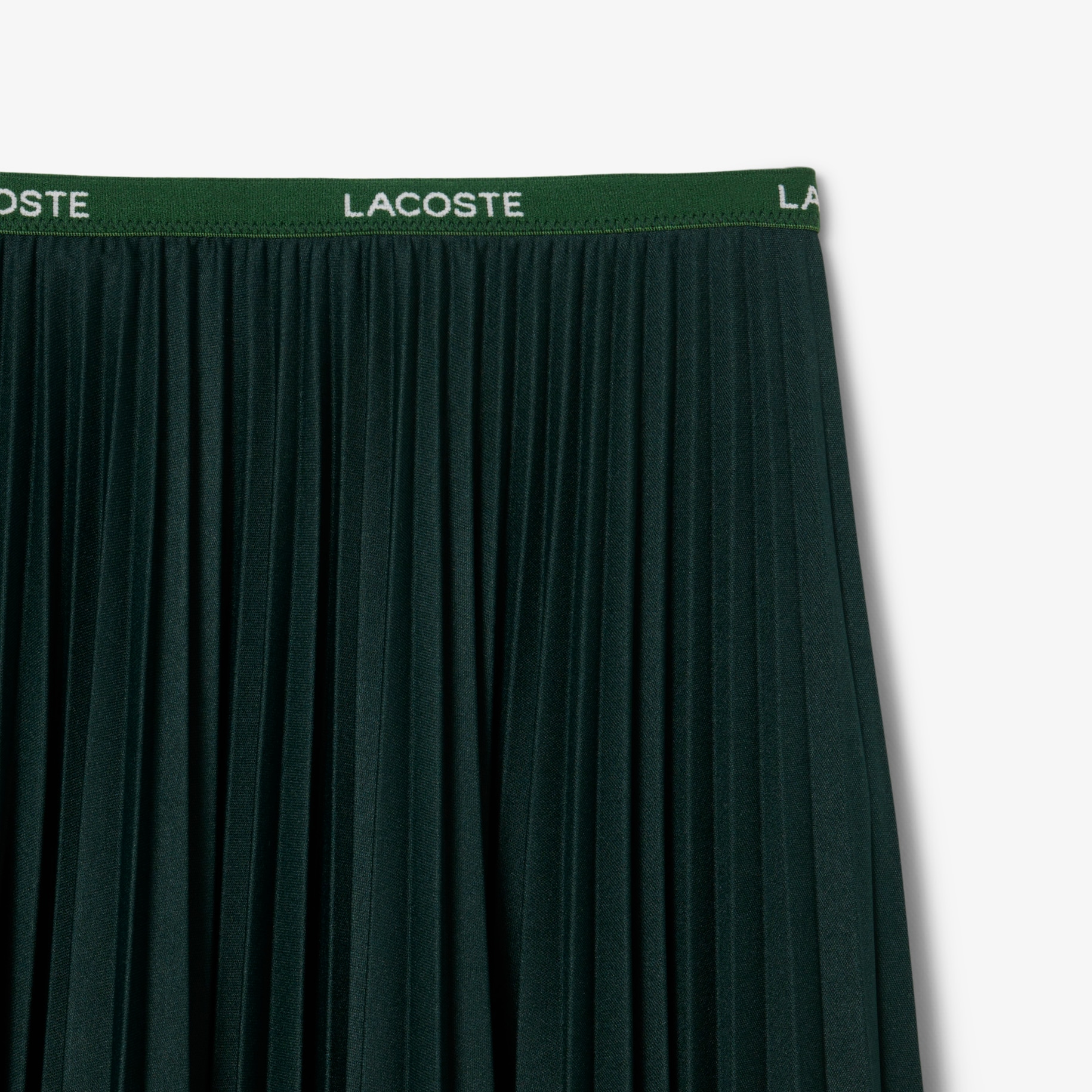 Long Pleated Elasticated Waist Skirt image number 4