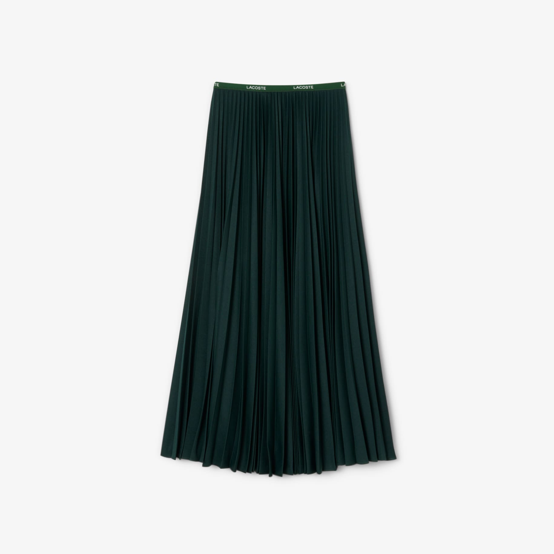 Long Pleated Elasticated Waist Skirt image number 3