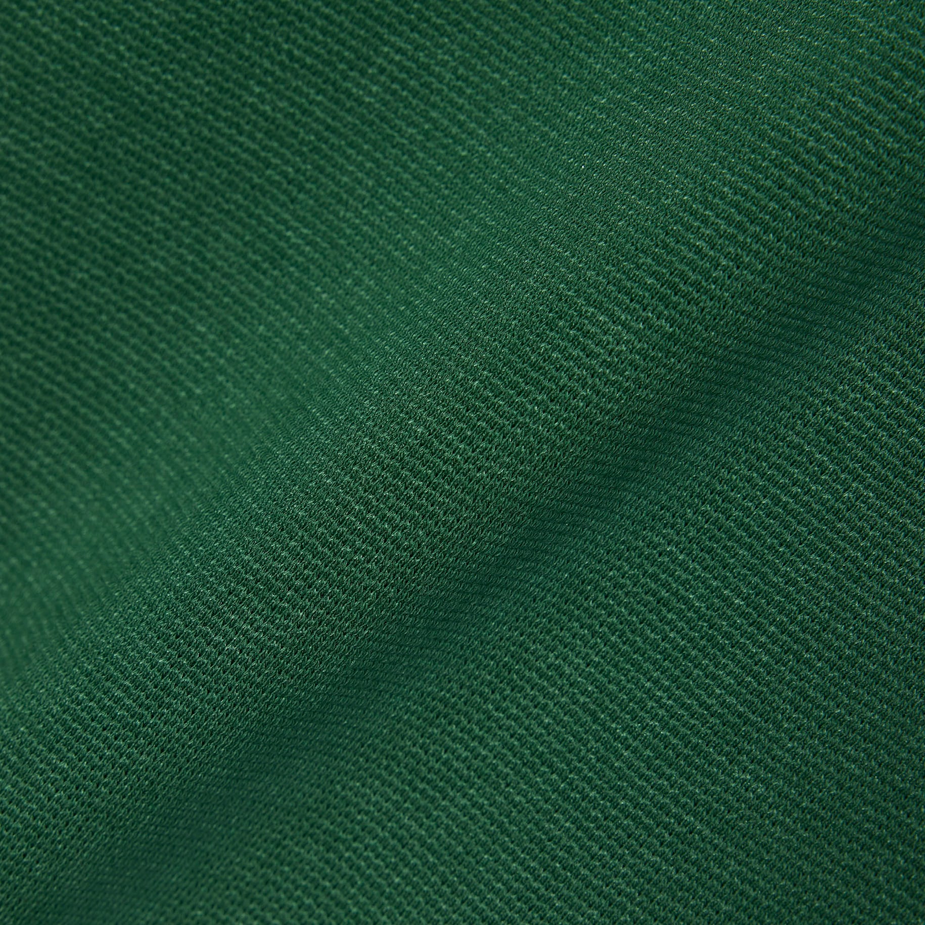 Regular Fit Cotton Polo Shirt image number 5